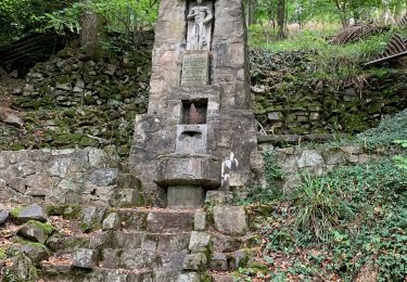 Tocht Stappen Soultz-Haut-Rhin - Randonnée vers le Vieil Armand - Photo