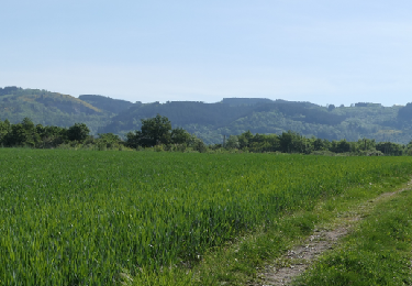 Tocht Stappen Escoutoux - 2022-05-10 Sainte Marguerite - Photo