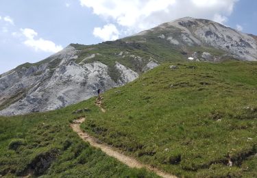 Tocht Stappen Pralognan-la-Vanoise - Pralognan - le petit mont Blanc a - Photo