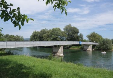 Tocht Te voet Merenschwand - Brücke Rickenbach - Brücke Mühlau - Photo