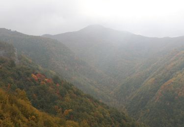 Tocht Te voet Palazzuolo sul Senio - Anello di Campanara - Photo