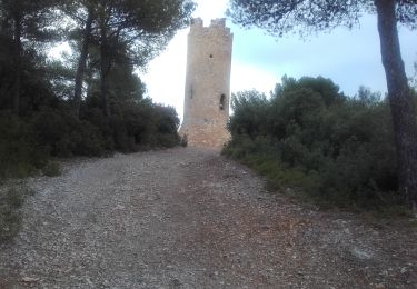 Trail Walking Saint-Marc-Jaumegarde - Saint-Marc-Jaumegarde-Tour de César - Photo