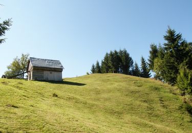 Tour Zu Fuß Unbekannt - EcoMarathon 2012 - Photo