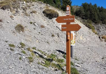 Tour Wandern Roubion - Falcon a Roubion - Photo