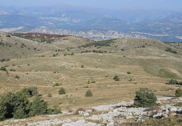 Excursión Senderismo Gréolières - Cretes du Cheiron - Photo