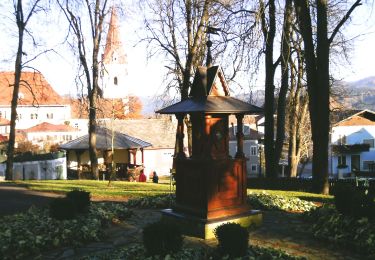 Percorso A piedi Thörl - Fegenberg-Rundmeile - Photo