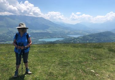 Tour Wandern Notre-Dame-de-Vaulx - Le Crestet  - Photo