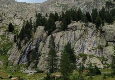 Randonnée Marche Saint-Martin-Vésubie - refuge coucourde lac trecolpas - Photo