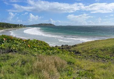 Tocht Noords wandelen Sainte-Anne - Trace des baies cap chevalier - Pointe Marin  - Photo