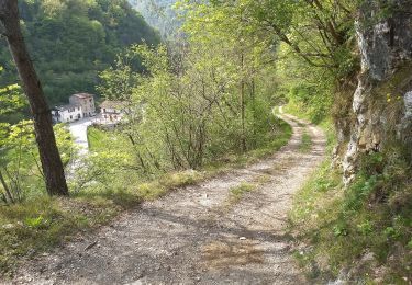 Trail On foot Capovalle - Capovalle - Passo di Vesta - Photo