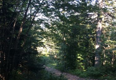Trail Walking Les Déserts - La croix du Nivolet - Photo