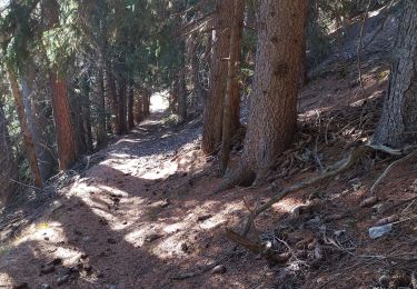 Trail Walking Val-Cenis - La Turra de Termignon  - Photo