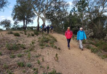 Randonnée Marche Les Arcs-sur-Argens - la forêt des Apiés - Photo