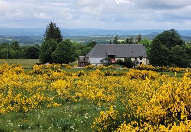 Tour Wandern Murat-le-Quaire - La banne d'ordanche / Laqueuille - Photo