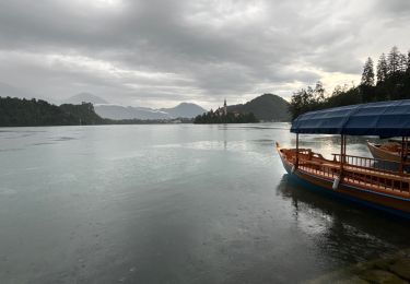 Tocht Stappen Bled - Bled - Photo