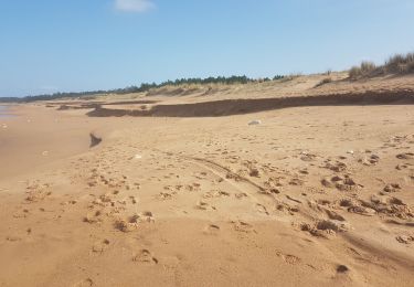 Randonnée Marche Saint-Georges-d'Oléron - saumonards - Photo