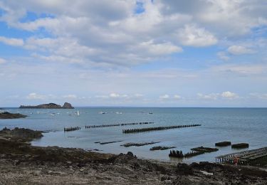 Tocht Elektrische fiets Saint-Malo - st malo cancale  - Photo