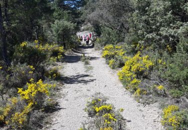 Randonnée Marche Aínsa-Sobrarbe - el grado Guaso Sierra puis voiture jusqu'à Sarratillo - Photo