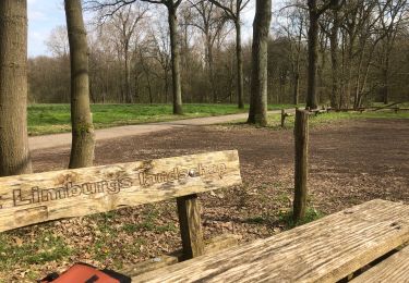 Trail Walking Roermond - Van camping Boschheide naar de Maas in Beesel - Photo
