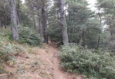 Trail Walking Argelès-sur-Mer - 22 08 /8-9-10 Oli40 - épisode 2 - Photo