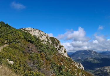 Tour Wandern Teyssières - le cougoir retour par les crêtes de Sauveginoux - Photo