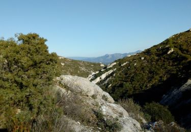 Tour Wandern Marseille - Vallons Luinant et Barrasse - Photo