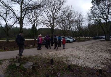 Excursión Senderismo Fontainebleau - cabaret Gilbert - Photo