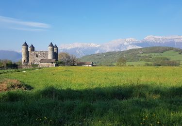 Excursión Bici de montaña Seyssins - Haute jarrie - Bois de Bouchassey - Saut du Moine - Photo