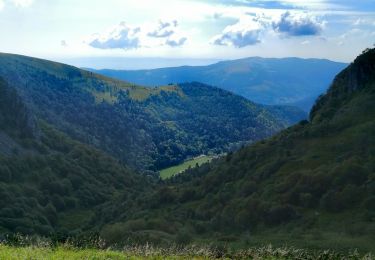 Randonnée Marche La Bresse - Le Hohneck et ses environs - Photo