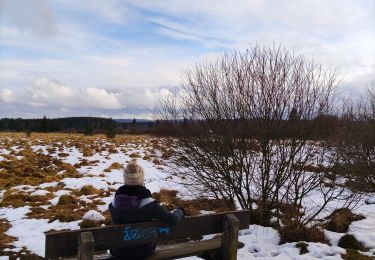 Randonnée Marche Waimes - La fagne de Sourbrodt   - Photo