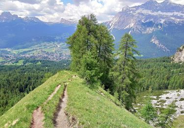 Randonnée A pied Cortina d'Ampezzo - IT-204 - Photo