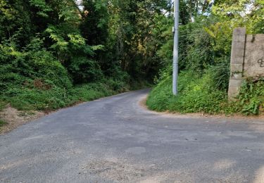 Randonnée Marche Itteville - Itteville circuit en boucle balisé bleu - Photo