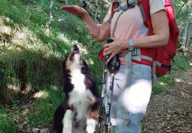 Tocht Stappen Piégros-la-Clastre - st medard 23 aout - Photo