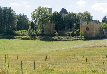 Excursión Senderismo Saint-Cyprien - Boucle de l'Ermite à Saint Cyprien en Dordogne - Photo