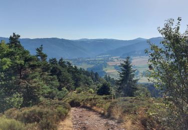 Tocht Stappen Alleyras - pourcheresse - Photo