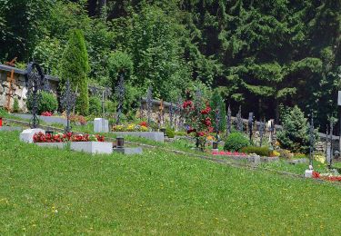 Percorso A piedi Kirchschlag bei Linz - Kirchschlag 6er - Photo