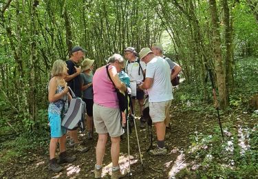 Tour Wandern Gézoncourt - Gézoncourt - Petite Suisse - Photo