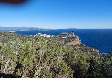 Excursión Senderismo La Ciotat - l'espignon ,ruine Spaeny, villa Teychene, sémaphore  - Photo