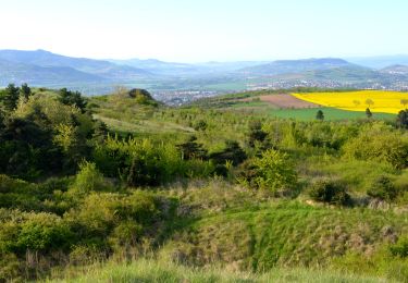 Trail Walking Cournon-d'Auvergne - Cournon_Bane_Anzelle - Photo