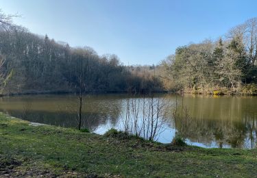 Excursión Senderismo Les Pieux - Les pieux flamanvill - Photo