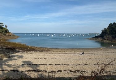 Trail Walking Cancale - Boucle pointe du Grouin Cancale - Photo