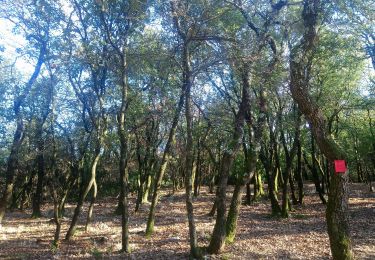 Tocht Stappen Saint-Montan - Balcon de Rimouren 16km - Photo