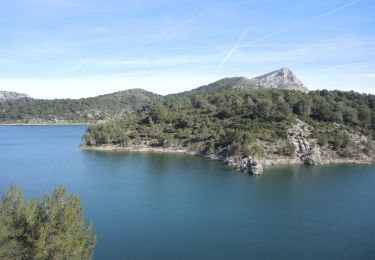 Excursión Senderismo Le Tholonet - Circuit des barrages au Tholonet - Photo