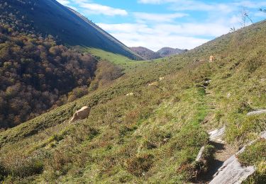 Randonnée Marche Ségus - col du pré du roi par segus reconnu - Photo