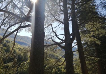 Excursión Senderismo Saou - petit et grand Pomerolle - Photo