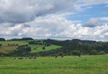 Tocht Stappen Rendeux - rando marcouray 5/08/2021 - Photo