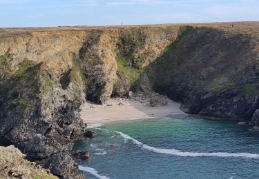 Tocht Stappen Sauzon - Donnant Borderun - Photo