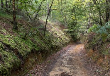 Trail Walking Bretoncelles - SityTrail - La butte du château Bretoncelles 15,0 Km - Photo