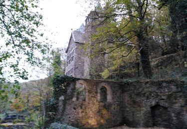 Trail Walking Trooz - FORÊT VILLAGE  - Photo