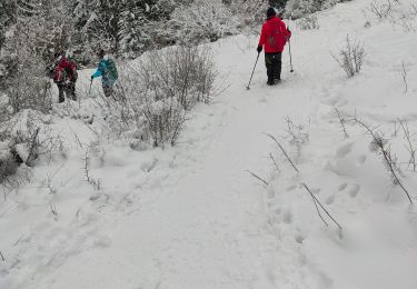 Tour Schneeschuhwandern Villard-de-Lans - de l'eau - Photo